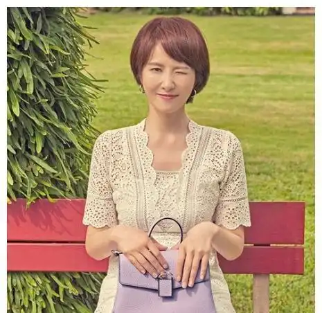 崔智友蔡琳尹恩惠刘仁娜刘荷娜韩恩贞金宣儿郑丽媛李多海朴诗妍_韩剧整容女明星_韩国整容女明星颜值变化